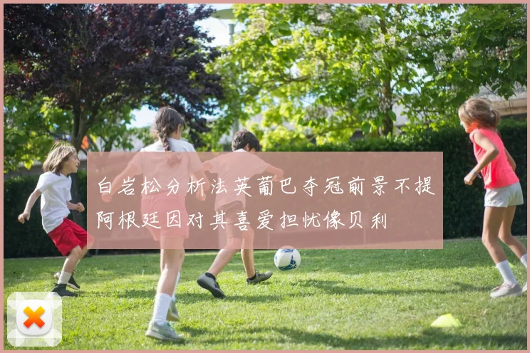 白岩松分析法英葡巴夺冠前景不提阿根廷因对其喜爱担忧像贝利