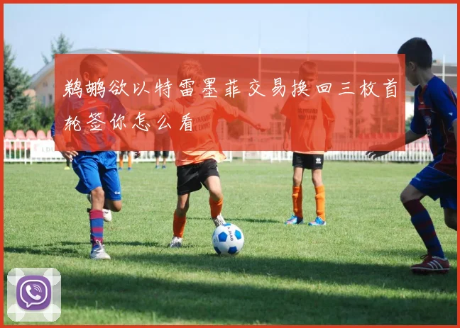 鹈鹕欲以特雷墨菲交易换回三枚首轮签你怎么看